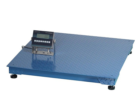 防爆電子平臺(tái)秤